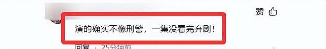 央视力挺却差评一片，《刑警的日子》的这位败笔演员真招人嫌（组图） - 14