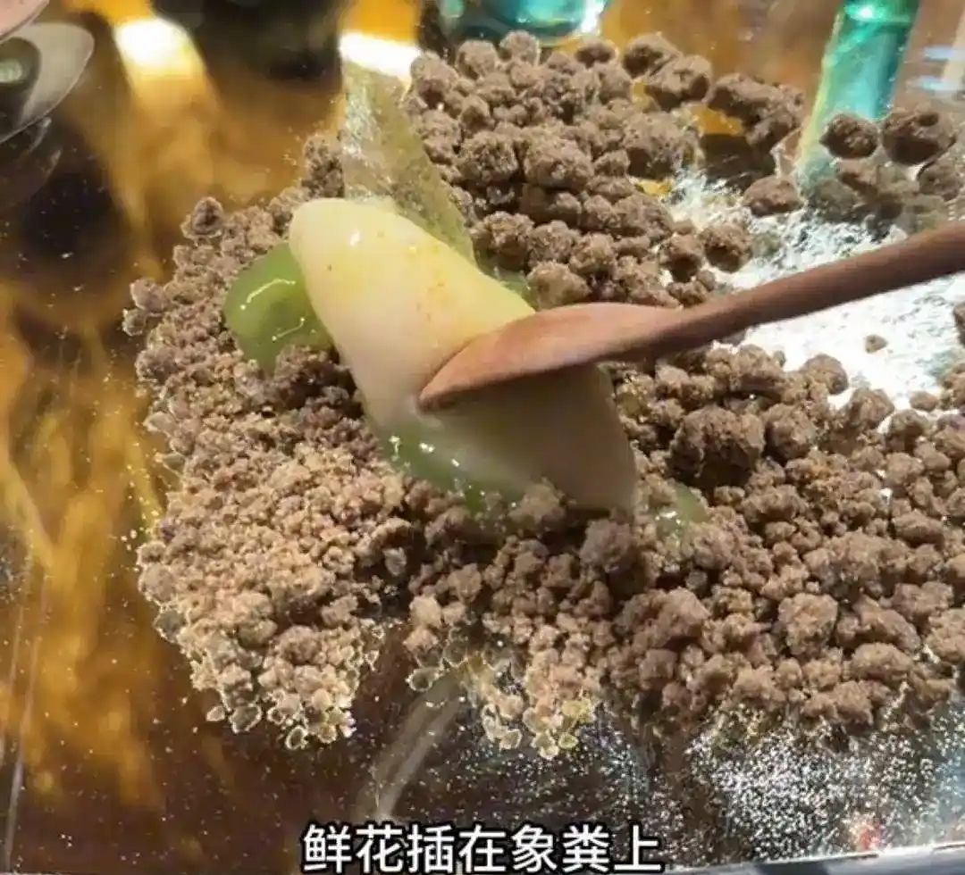 3888元吃大象屎！上海餐厅“毁三观”菜品引热议（组图） - 14