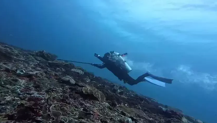 潜水寻相机酿悲剧！华人女子海里失踪溺亡，GoPro拍下惊心与暗流搏斗过程（组图） - 1