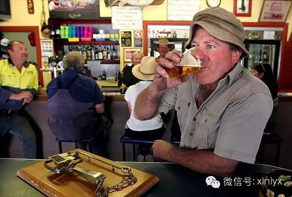 吐血整理！悉尼周边12处绝美景点，还有19个特色小镇！带上宝宝，一个一个玩过去（组图） - 49