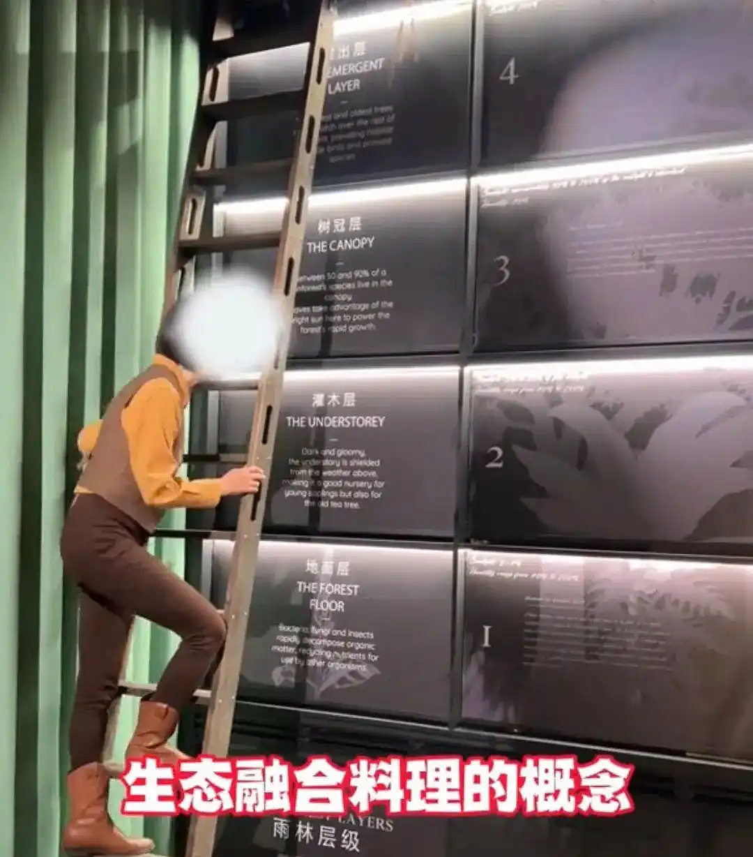 3888元吃大象屎！上海餐厅“毁三观”菜品引热议（组图） - 7