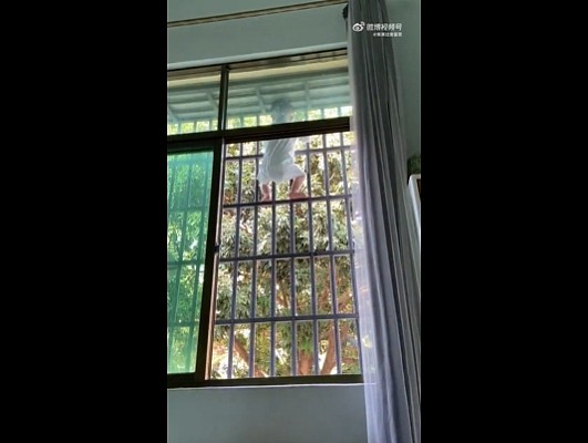 【爆笑】儿子女朋友要的彩礼太高，我决定去勾引亲家公！网友：未婚妻变兄妹，纯爱变成禁忌之恋...（组图） - 8
