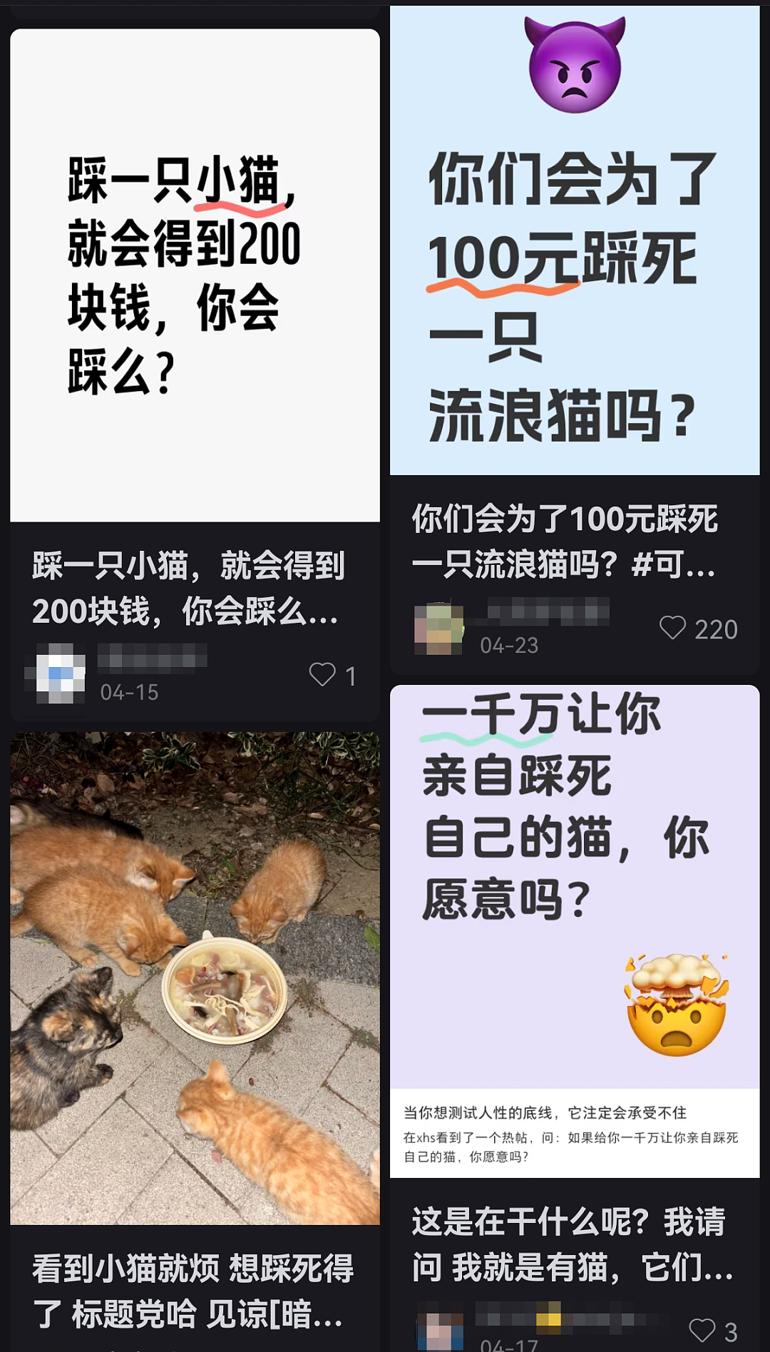 “太恶心了！”中国男子在新西兰被驱逐出境，引发众怒被骂爆！背后真相太可怕（组图） - 7