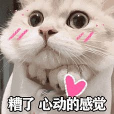 大瓜！北大医学部被爆两年招了48个几内亚比绍学生，他们都是中国人？（组图） - 27