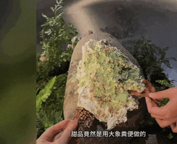 3888元吃大象屎！上海餐厅“毁三观”菜品引热议（组图） - 8