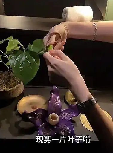 3888元吃大象屎！上海餐厅“毁三观”菜品引热议（组图） - 6
