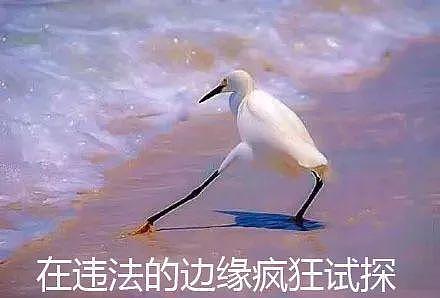 大瓜！北大医学部被爆两年招了48个几内亚比绍学生，他们都是中国人？（组图） - 32