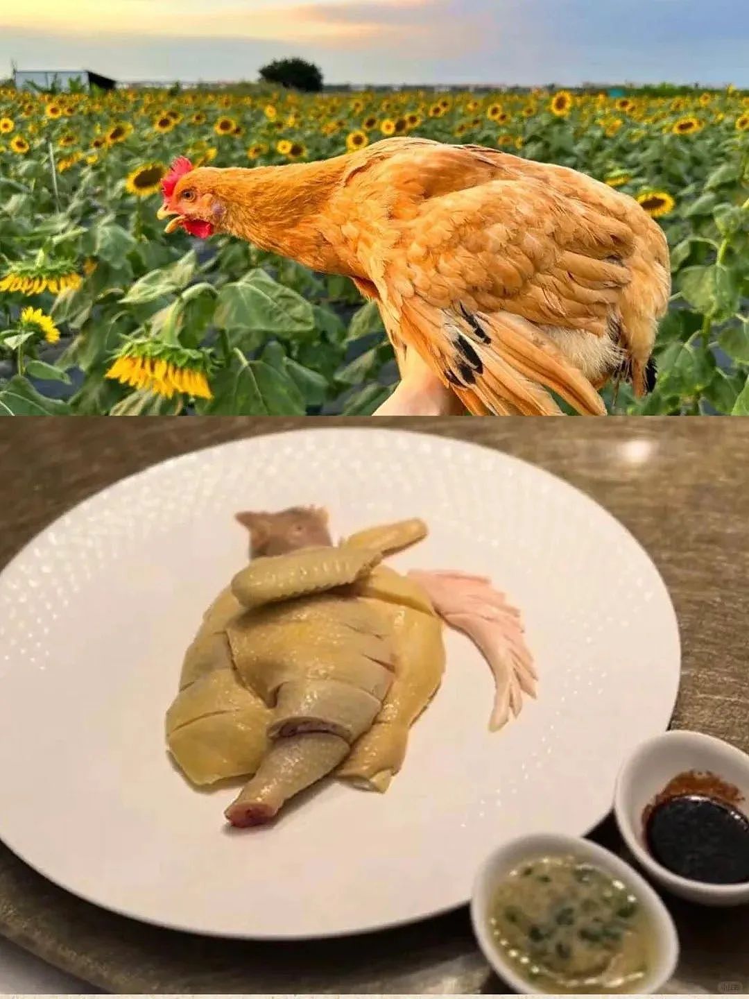 3888元吃大象屎！上海餐厅“毁三观”菜品引热议（组图） - 37