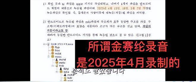 金赛纶去世前1个月录音，高层出40亿收买失败（组图） - 10