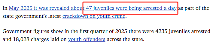 新法难遏制犯罪,昆州青少年罪案持续激增!平均每天47人被捕,入室盗窃、偷车袭击频发(组图) - 4