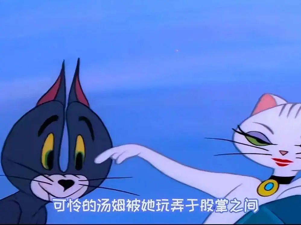 【宠物】小猫参加比赛，1分钟翘屁股伸懒腰800次，把评委撩成翘嘴...猫：小小人类，轻松拿捏（组图） - 6