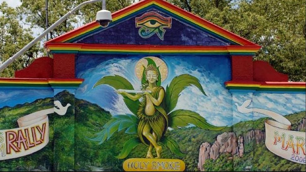 吐血整理！悉尼周边12处绝美景点，还有19个特色小镇！带上宝宝，一个一个玩过去（组图） - 40