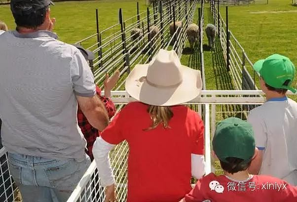吐血整理！悉尼周边12处绝美景点，还有19个特色小镇！带上宝宝，一个一个玩过去（组图） - 30