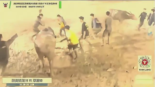 “牛王争霸赛“起纠纷引发群殴，女子倒地长时间不起（组图） - 1
