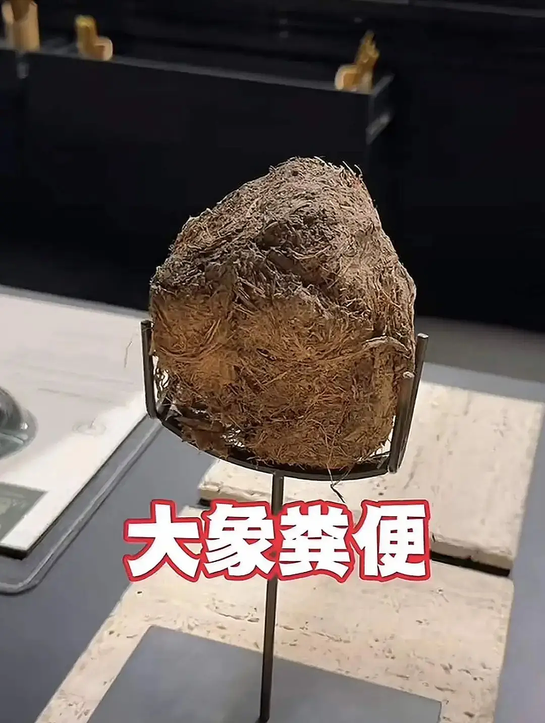 3888元吃大象屎！上海餐厅“毁三观”菜品引热议（组图） - 5