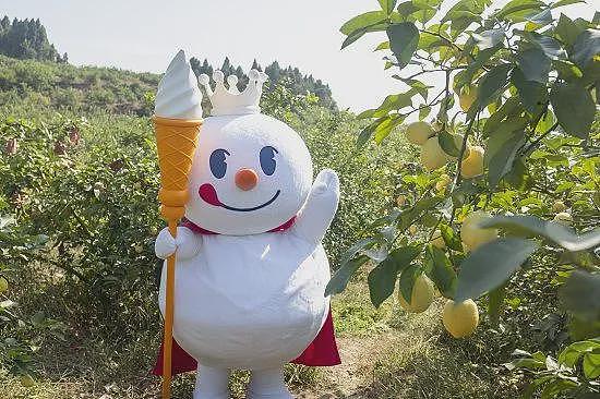 贴牌“泰国神饮”，被中国白领捧上神坛（组图） - 21