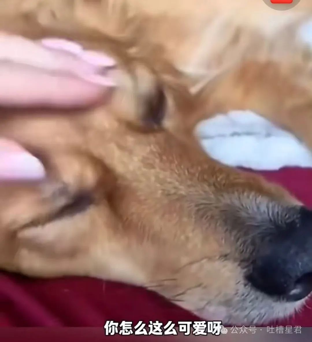 【爆笑】只转账很少见面的恋爱还要继续谈吗...？网友炸锅：好日子过够了是吧（组图） - 63