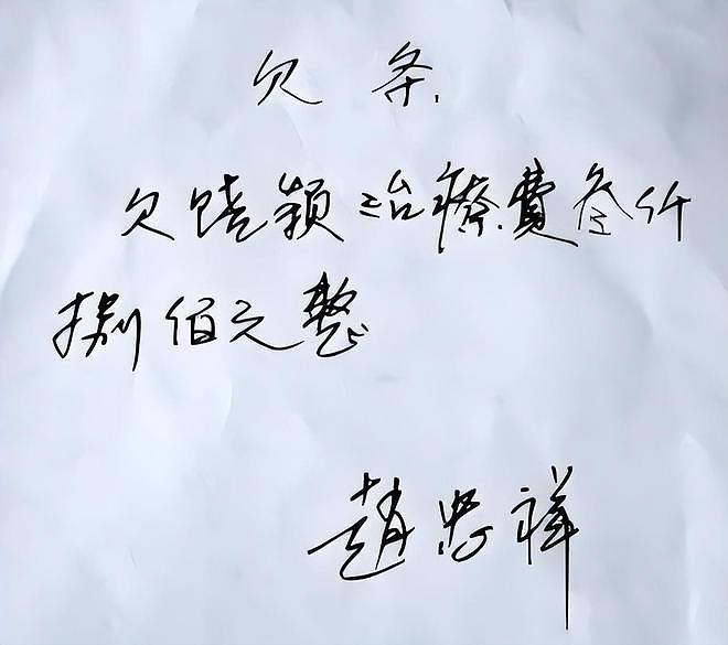 19年赵忠祥大腿刺痛，检查已是癌症晚期，从确诊到离世只有两个月（组图） - 10