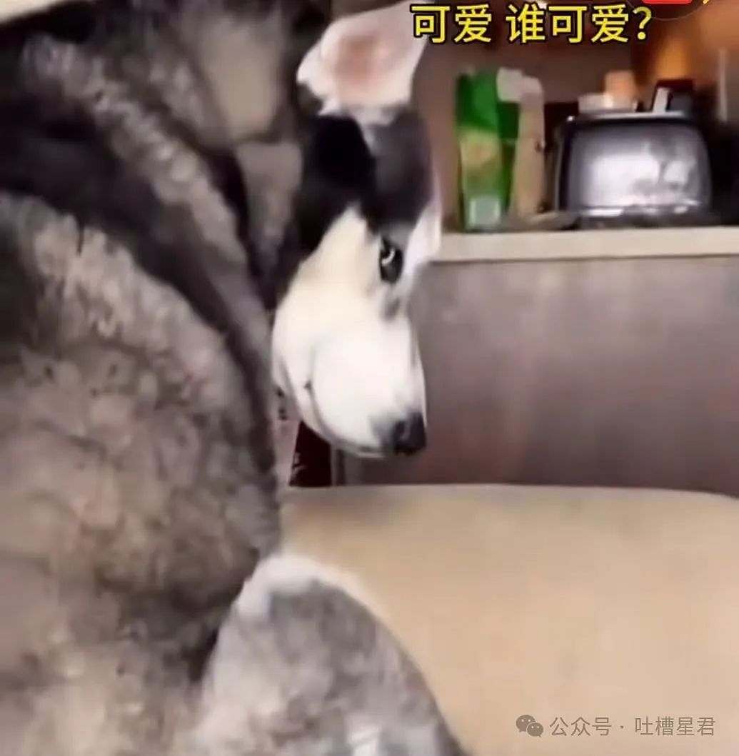 【爆笑】只转账很少见面的恋爱还要继续谈吗...？网友炸锅：好日子过够了是吧（组图） - 64