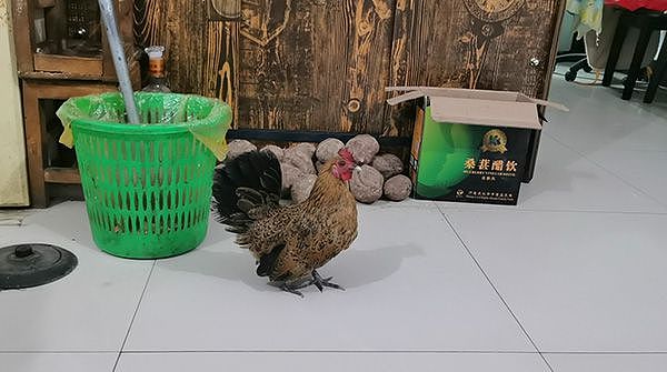 赵作海因病去世，曾蒙冤入狱11年获65万元国家赔偿（组图） - 10