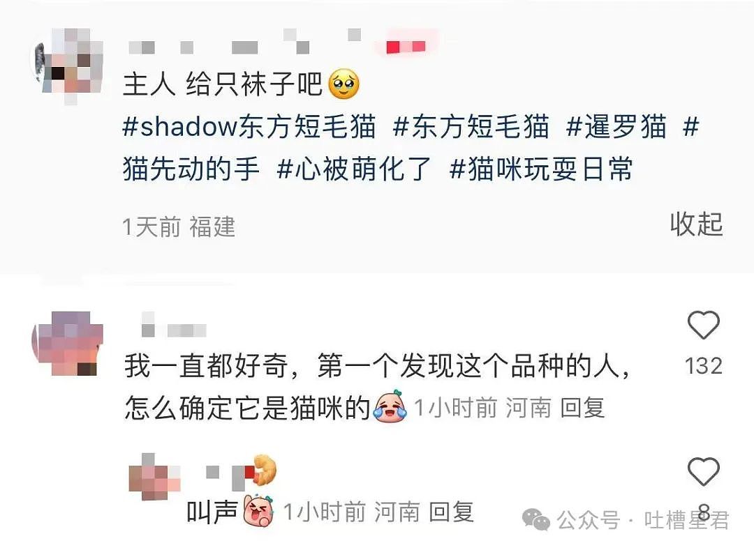 【爆笑】只转账很少见面的恋爱还要继续谈吗...？网友炸锅：好日子过够了是吧（组图） - 40