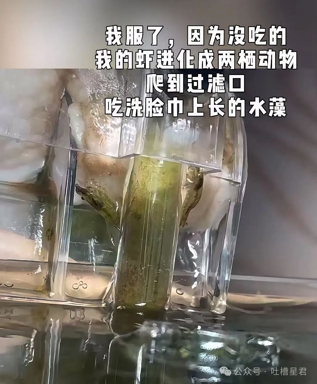 【爆笑】只转账很少见面的恋爱还要继续谈吗...？网友炸锅：好日子过够了是吧（组图） - 32