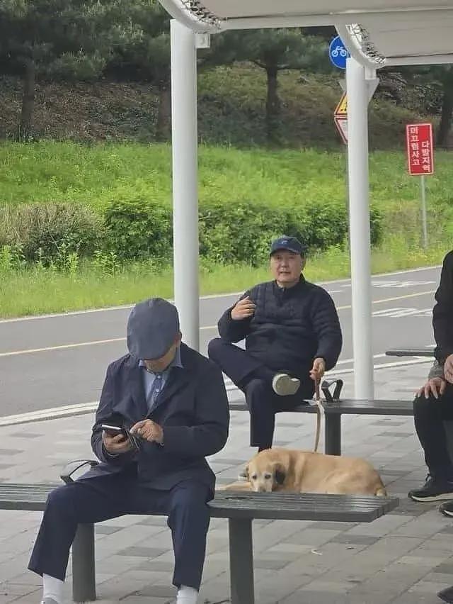 尹锡悦被拍到在公园“悠闲遛狗“，身边带着3名保镖（图） - 1