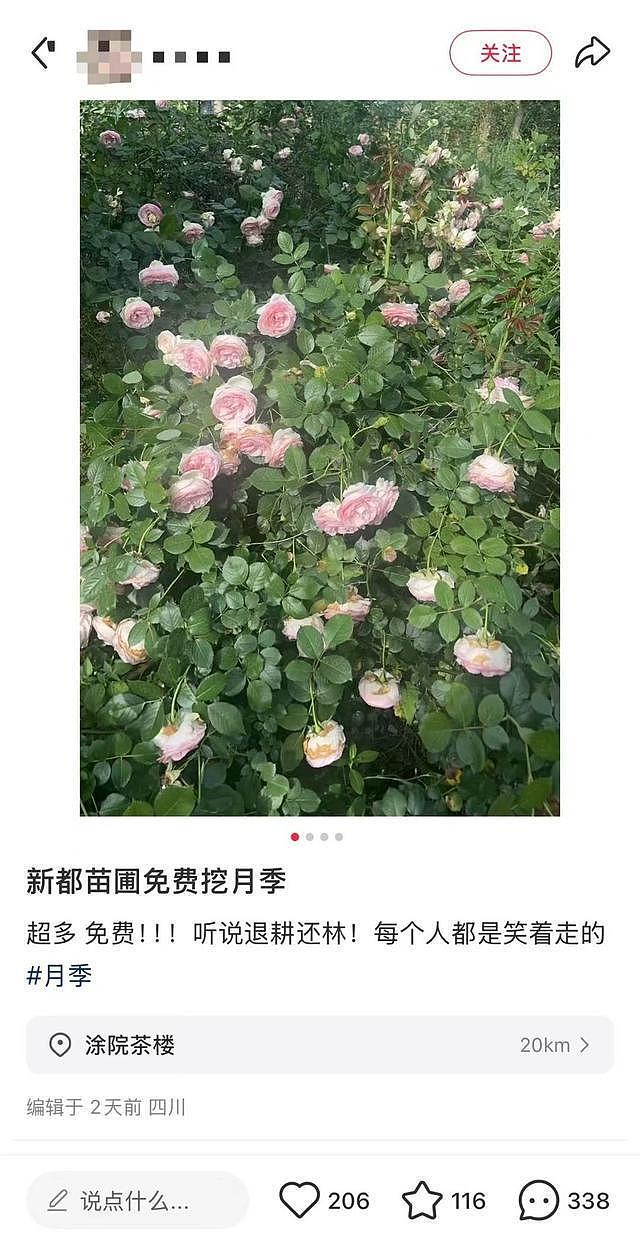 农家乐项目被恶搞:1天900多人远程扫码致“鸡叫”不断(组图) - 4