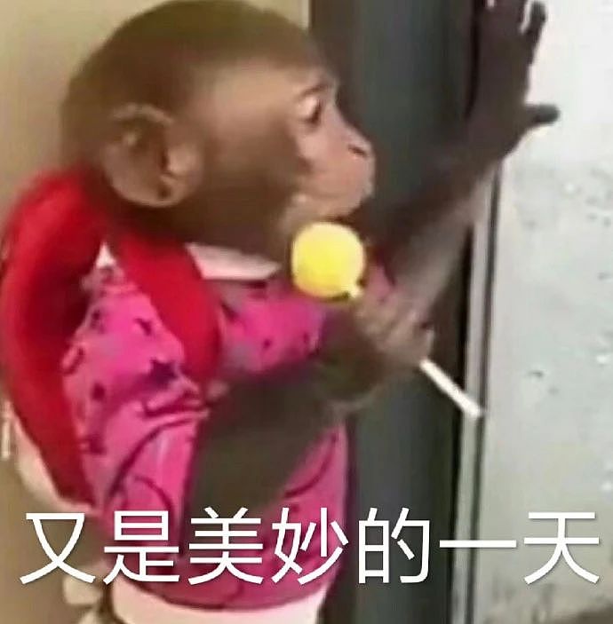 【爆笑】只转账很少见面的恋爱还要继续谈吗...？网友炸锅：好日子过够了是吧（组图） - 86