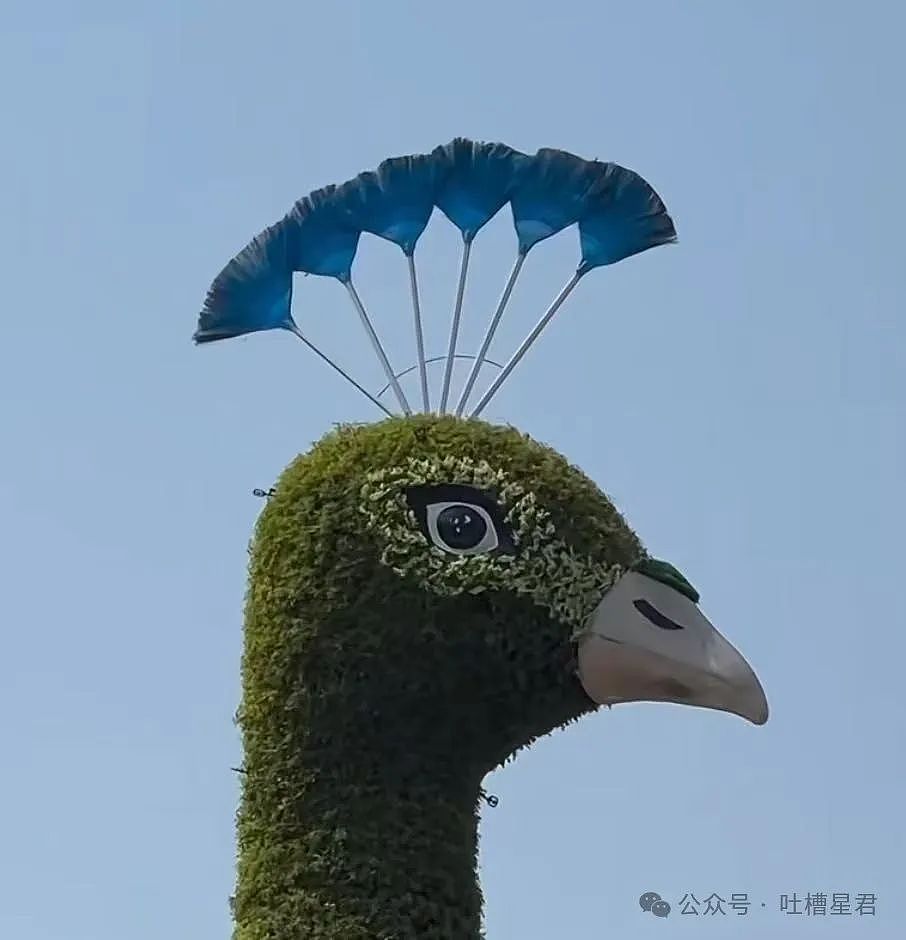【爆笑】只转账很少见面的恋爱还要继续谈吗...？网友炸锅：好日子过够了是吧（组图） - 27