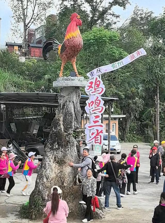 农家乐项目被恶搞:1天900多人远程扫码致“鸡叫”不断(组图) - 1