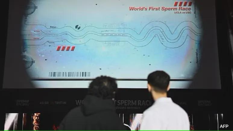 为了男性健康，美国办起了撸蝌蚪比赛（组图） - 1