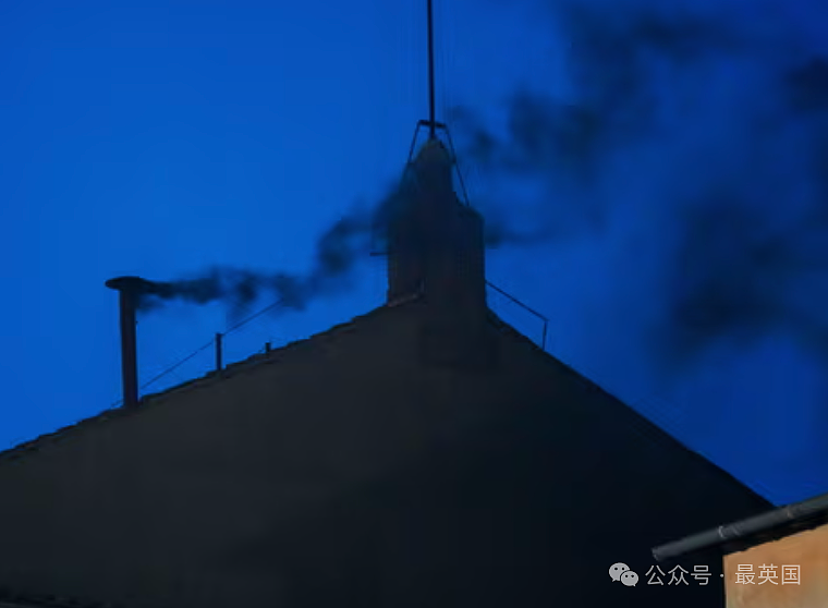 震惊全球！梵蒂冈白烟升起，首位美国教皇诞生！打破多项历史，千万人激动失声痛哭（组图） - 5