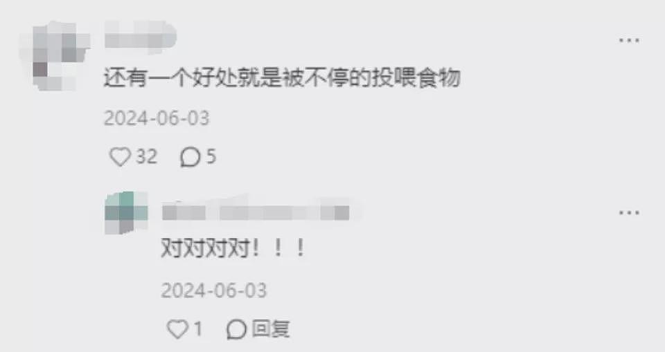 第一批混进老年徒步团的人,已经进骨科了(组图) - 9