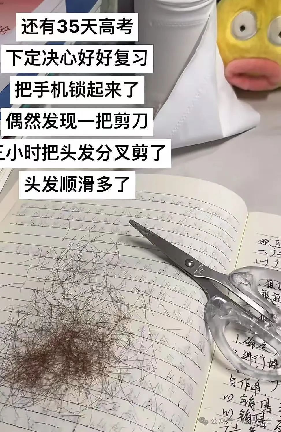 【爆笑】只转账很少见面的恋爱还要继续谈吗...？网友炸锅：好日子过够了是吧（组图） - 65