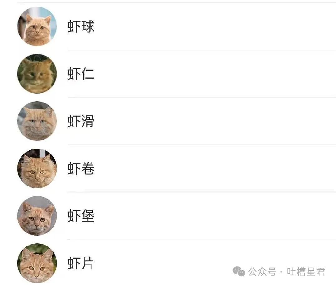 【爆笑】只转账很少见面的恋爱还要继续谈吗...？网友炸锅：好日子过够了是吧（组图） - 55