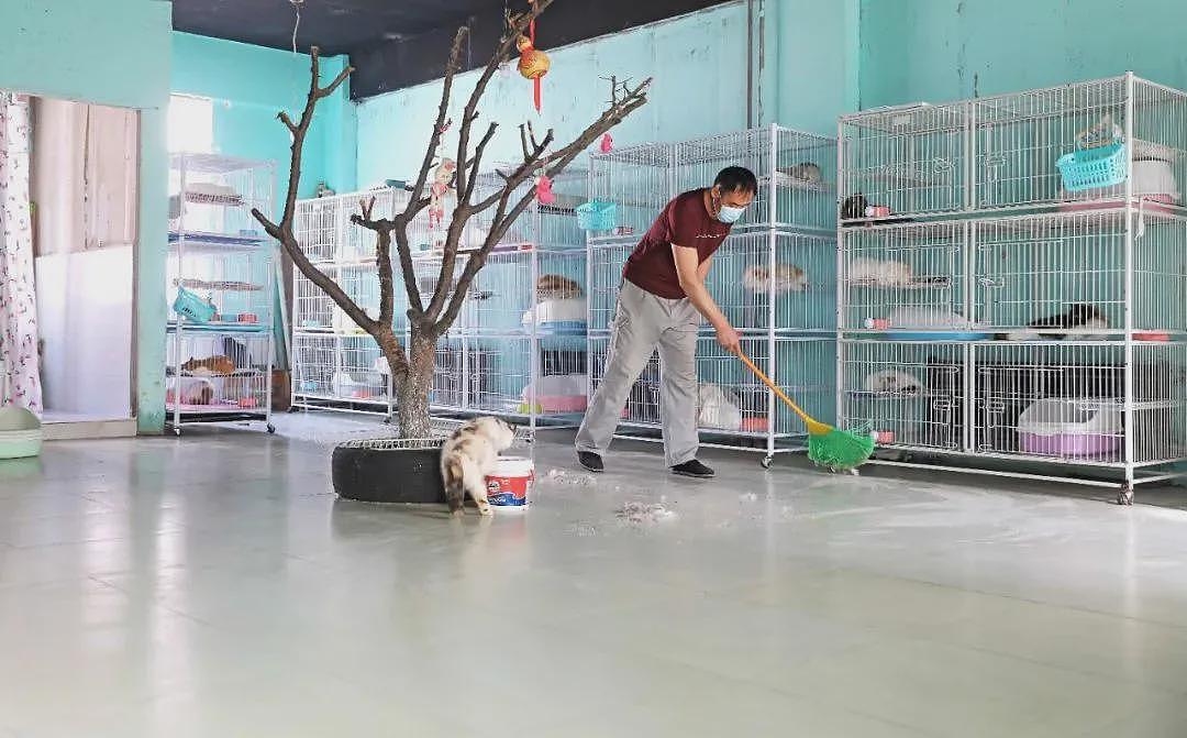 超百万只猫狗,从“钢城”卖到全中国(组图) - 3