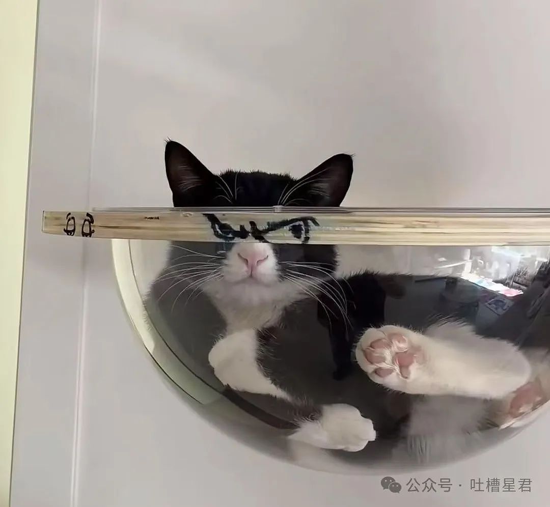 【爆笑】只转账很少见面的恋爱还要继续谈吗...？网友炸锅：好日子过够了是吧（组图） - 23