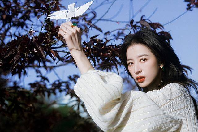 “太后的资源,丫鬟的命”,怎么捧都不红的这5位(组图) - 13