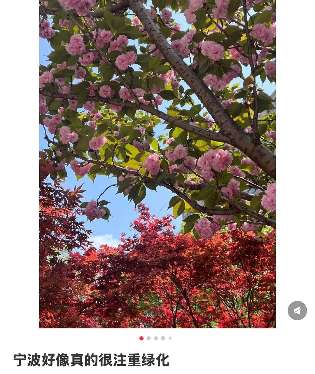 这个比上海还老钱的城市,挤满提前退休的中产人群(组图) - 2