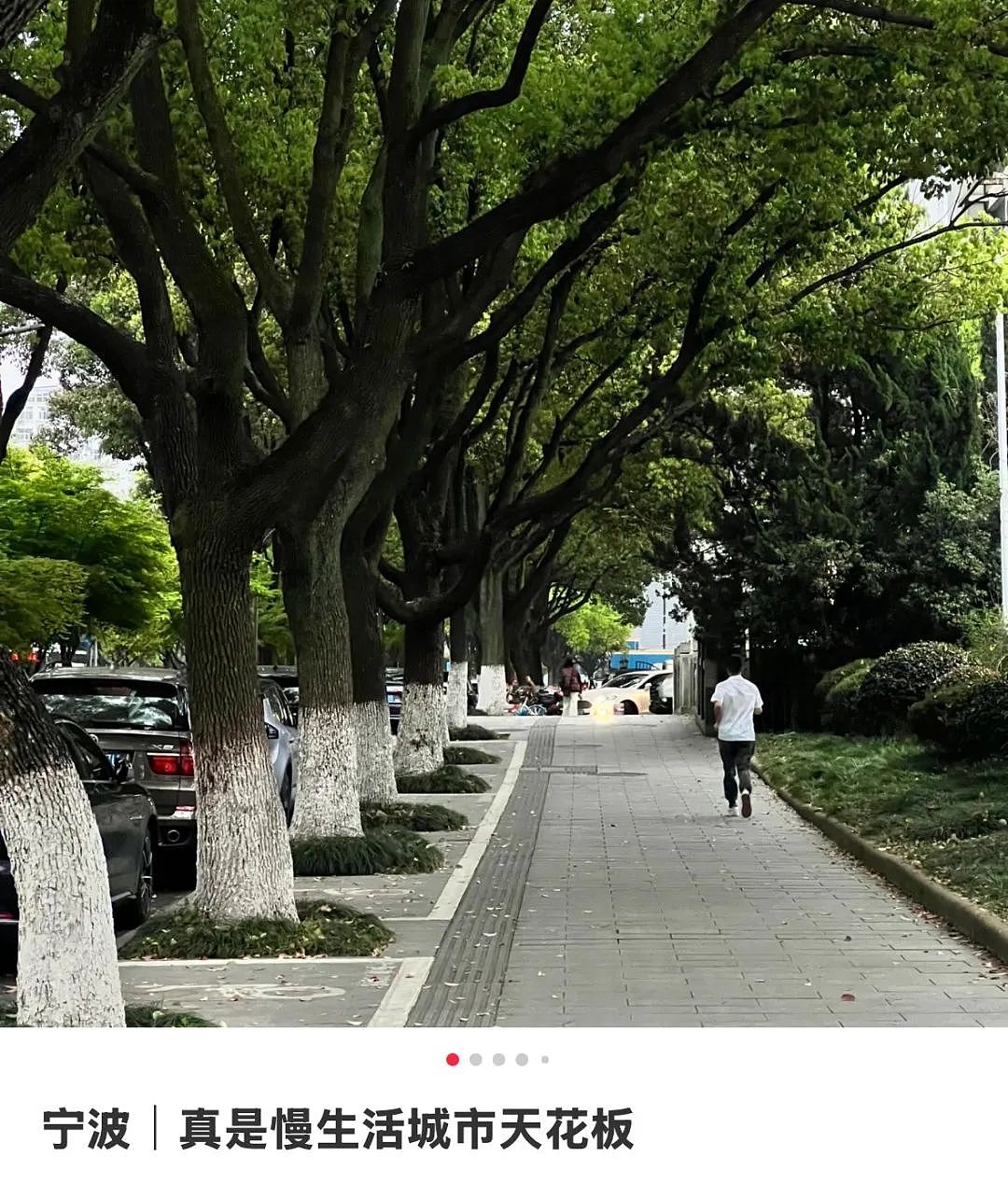 这个比上海还老钱的城市,挤满提前退休的中产人群(组图) - 8