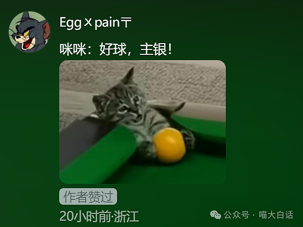 【爆笑】“前任送的生日礼物有多奇葩?”哈哈哈哈哈语言艺术是精髓!(组图) - 81