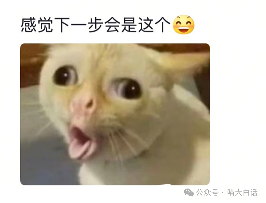 【爆笑】“现在的人能有多抽象？”哈哈哈哈哈这算哪门子行为艺术（组图） - 81