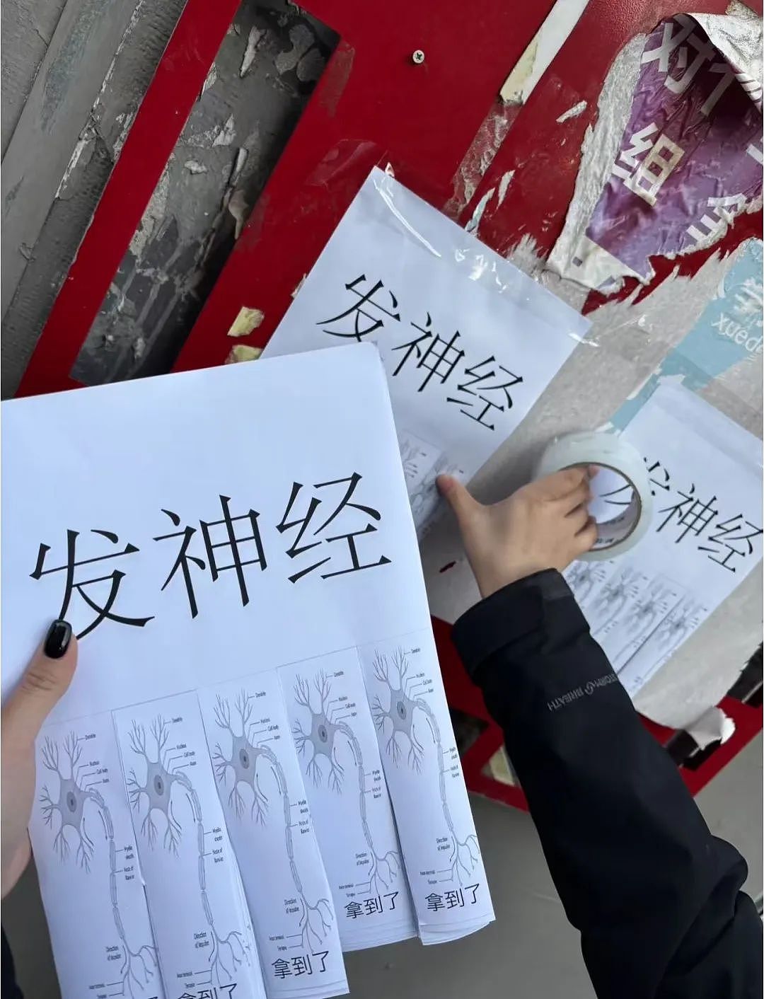 【爆笑】“现在的人能有多抽象？”哈哈哈哈哈这算哪门子行为艺术（组图） - 5