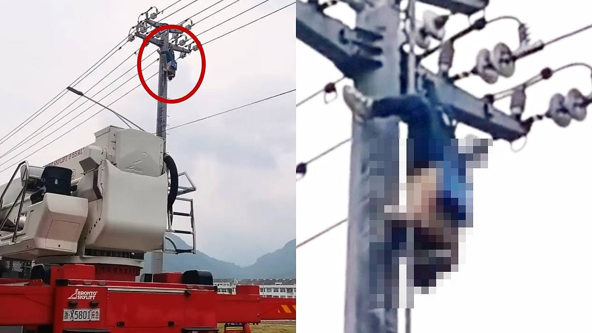 男子“爬电线杆捉鸟”，惨被当场电晕！倒挂15米高空吓坏路人（视频/组图） - 1