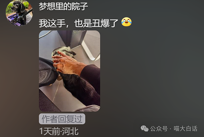 【爆笑】“现在的人能有多抽象？”哈哈哈哈哈这算哪门子行为艺术（组图） - 74