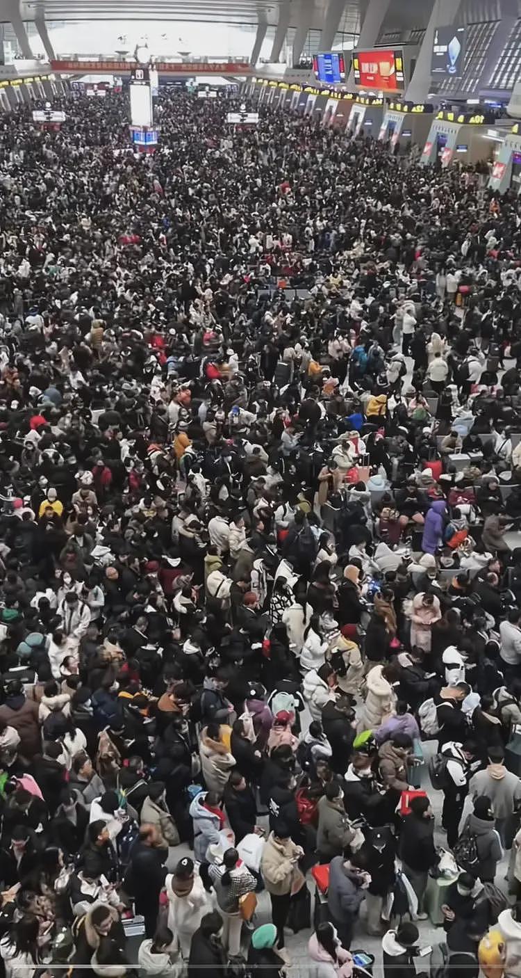 一觉醒来青岛旅游业天塌了！青岛大妈撞人事件后，恐怕没人敢去了（组图） - 12
