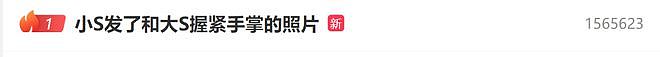大S遗产遭侵占败露了?小S联合蔡康永紧急掩盖,光头真是赢麻了(组图) - 9