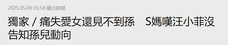 曝小S逐个打电话恳请众星悼念大S,忙到凌晨4点声音薄弱 - 10