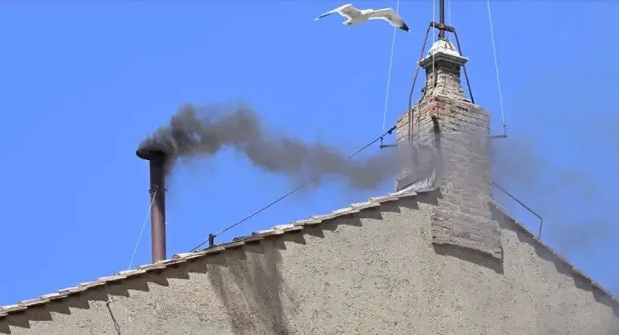 西斯廷教堂冒白烟,新教皇选出!可刚当选就卷入性侵儿童丑闻... (组图) - 8